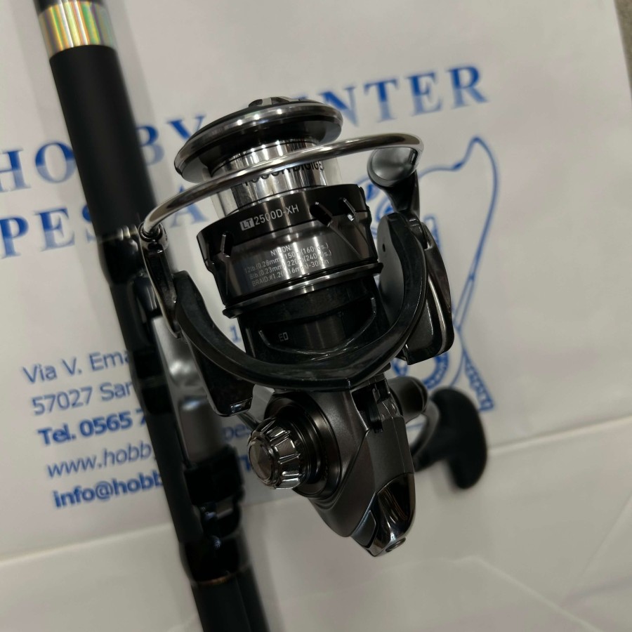 COMBO BOLOGNESE DAIWA AMORPHOUS AV70 REGULAR