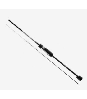 Favorite Canna White Bird  WBR1