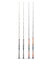 Captain James Dentex Sniper 6'7" 16 lbs acid