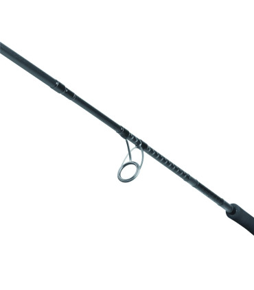 Daiwa Canna Saltist X90M