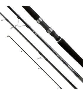 Daiwa Canna Saltist In Shore 782hfs