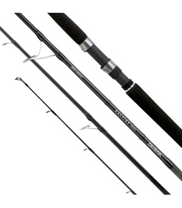 Daiwa Canna Saltist In Shore 782hfs