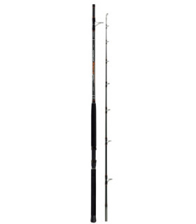 SALT FIRE PRO 2.70mt (up to 400gr)