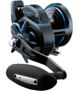 Daiwa saltist SD 15J