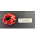 Palluccella Vertical Live Ball