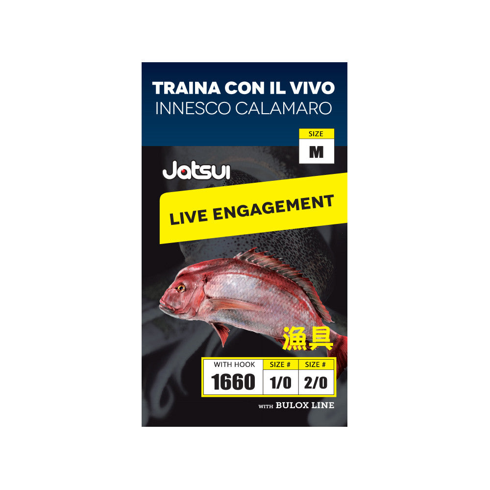 JATSUI LENZA TRAINA VIVO INN. CALAMARO SZ.S