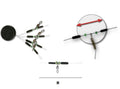 Daiwa TB Serie 10