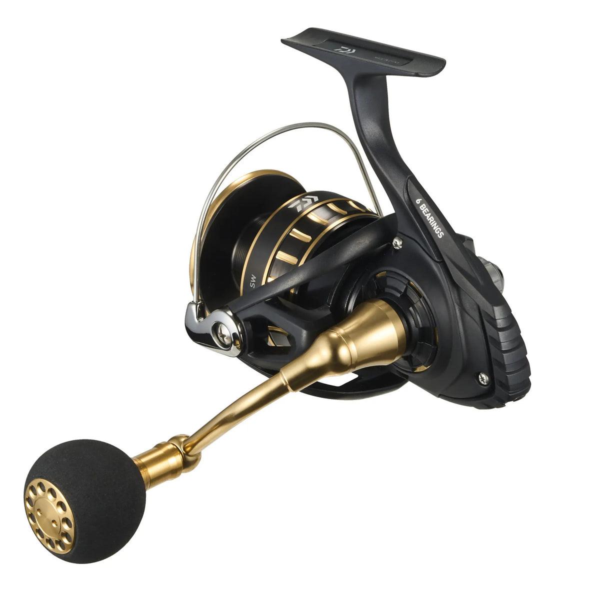 Daiwa 23 BG SW 6000D-P