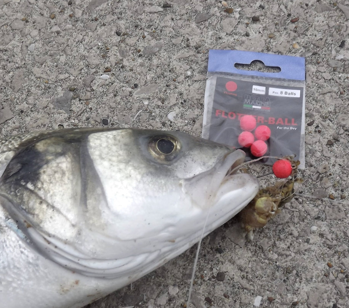 Ultra Marine Flotter - Ball Mis. 10