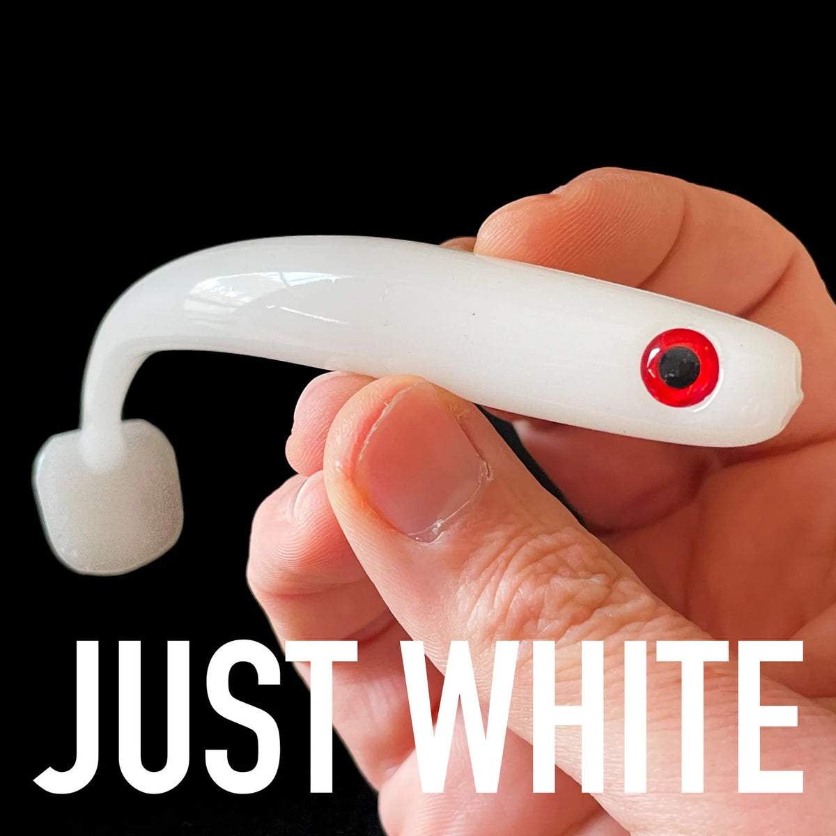 Just Fish Kitara 5.5'' Col. Just White