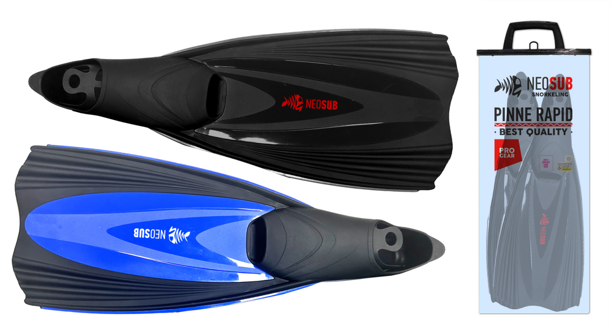 PINNA RAPID DA SNORKELING