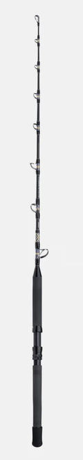 Shimano Canna Tyrnos B Stand up Spiral B