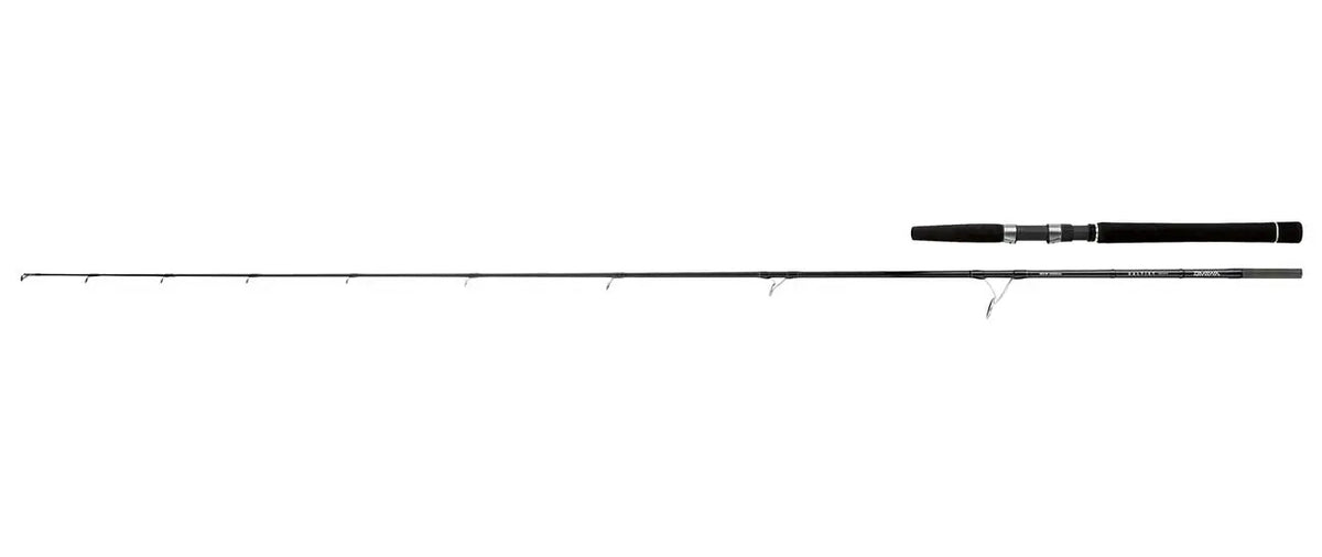 Daiwa Canna Saltist In Shore 782hfs