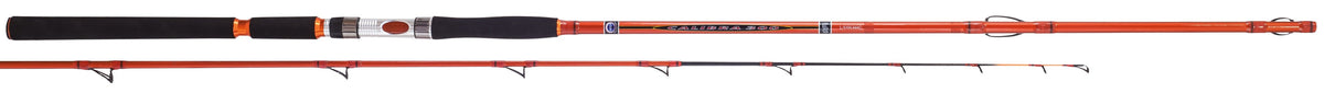 COLMIC CALIBRA 3.00mt (70-300gr)