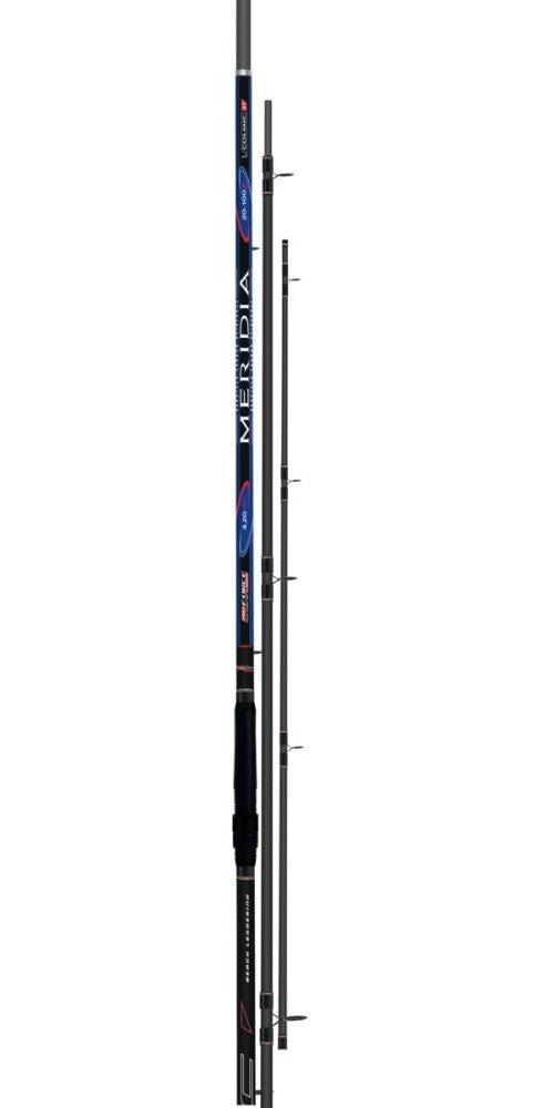 MERIDIA 4,20mt (20-100gr) 2 CARBON TIPS (LH-MH)