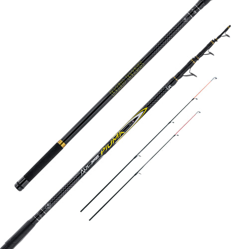 BAD BASS CANNA PIUMA DOUBLE TIP 450 60/80G (FUJI)