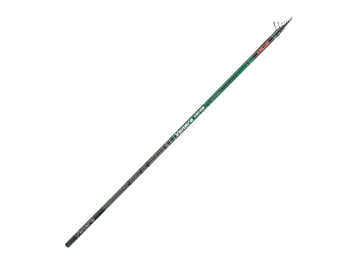 Falcon Canna Venere Verde